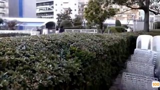 国产亚洲精品左线视频